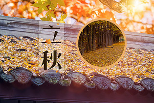 可燃氣體報警器應(yīng)避免在以下環(huán)境進行使用